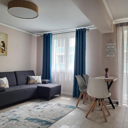 Pandora Central Apartment Cluj Napoca Bagian luar foto