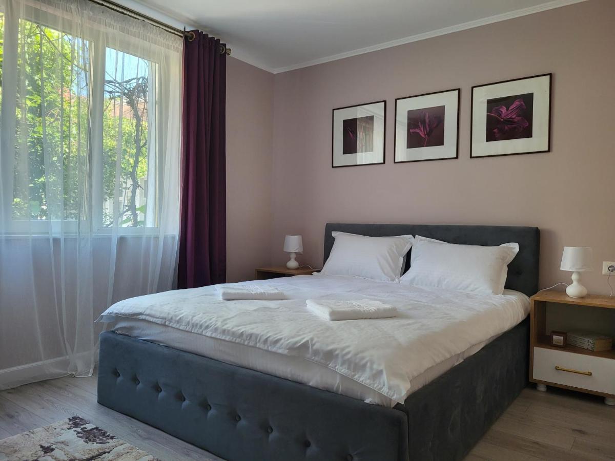 Pandora Central Apartment Cluj Napoca Bagian luar foto