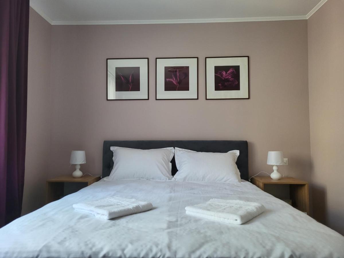 Pandora Central Apartment Cluj Napoca Bagian luar foto