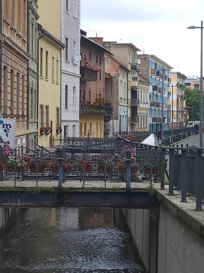 Pandora Central Apartment Cluj Napoca Bagian luar foto
